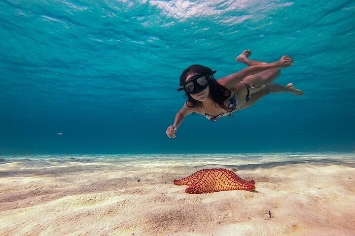 Discover Cozumel's Reef: Glass-bottom Boat Snorkeling Adventure - Image 2