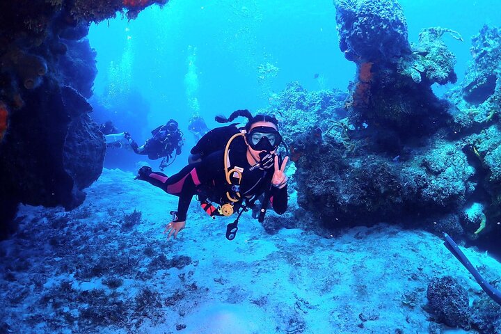 Discover Scuba Diving in Cozumel - Image 1