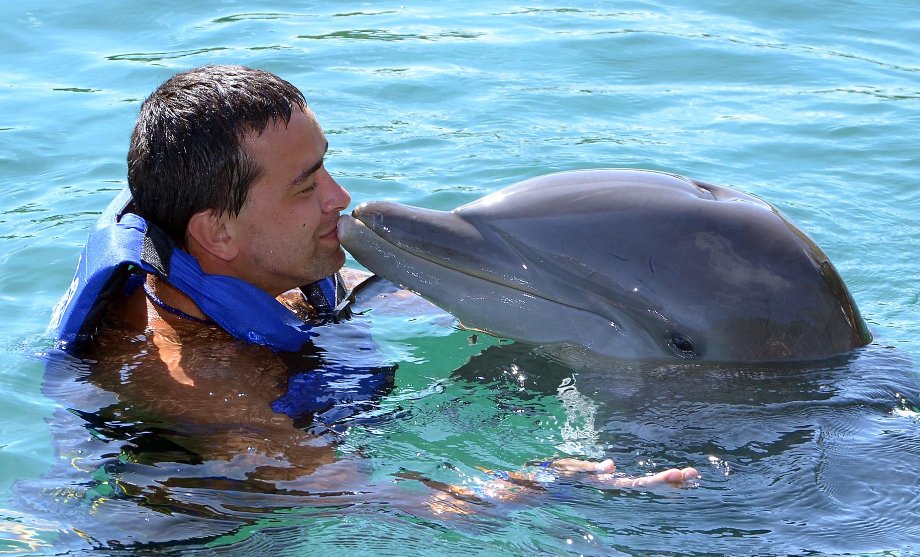 Dolphin Encounter and Chankanaab National Marine Park - Image 1