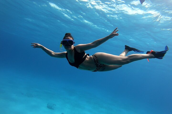 El Cielo Cozumel Snorkeling by Private Boat - Image 2