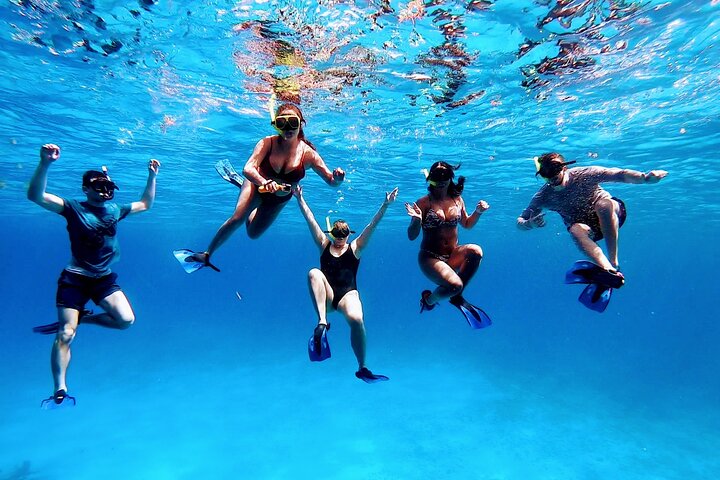 El Cielo Cozumel Snorkeling by Private Boat - Image 3
