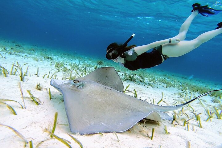 El Cielo Cozumel Snorkeling by Private Boat - Image 1