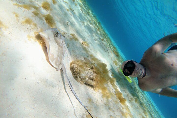 El Cielo reef by Catamaran with Beach Club  - Image 5