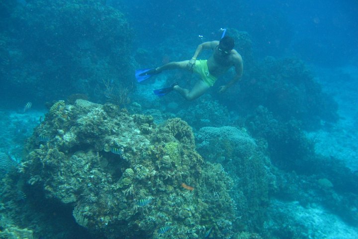 Express Glass-Bottom Boat and Snorkeling Tour with Beach Break  - Image 2