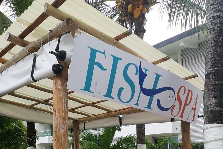 Fish Spa and Beach Break, Swimming Pool, Lounge Chairs, Umbrellas, Beach Area - Image 4