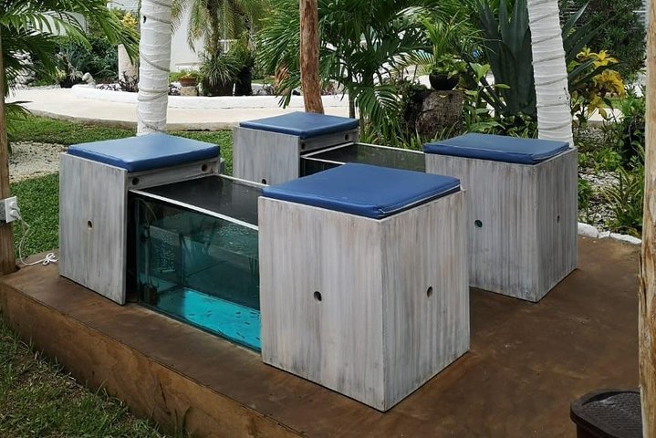Fish Spa and Beach Break, Swimming Pool, Lounge Chairs, Umbrellas, Beach Area - Image 3