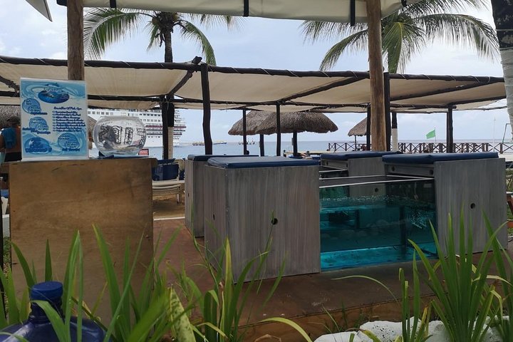 Fish Spa and Beach Break, Swimming Pool, Lounge Chairs, Umbrellas, Beach Area - Image 2