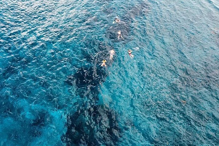 Get to know heaven on earth with Chivis del mar private - Image 3