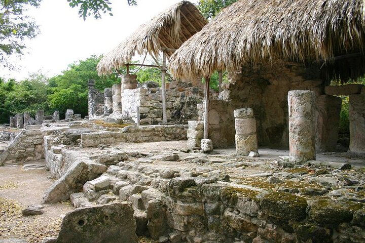 Half-day Cozumel Island Guided Tour with Dinner - Image 5
