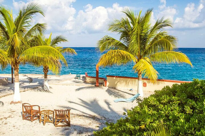 Half-day Cozumel Island Guided Tour with Dinner - Image 4