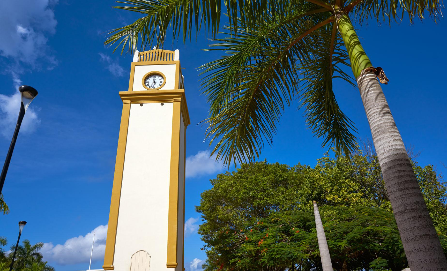 History Walking Tour - Image 1