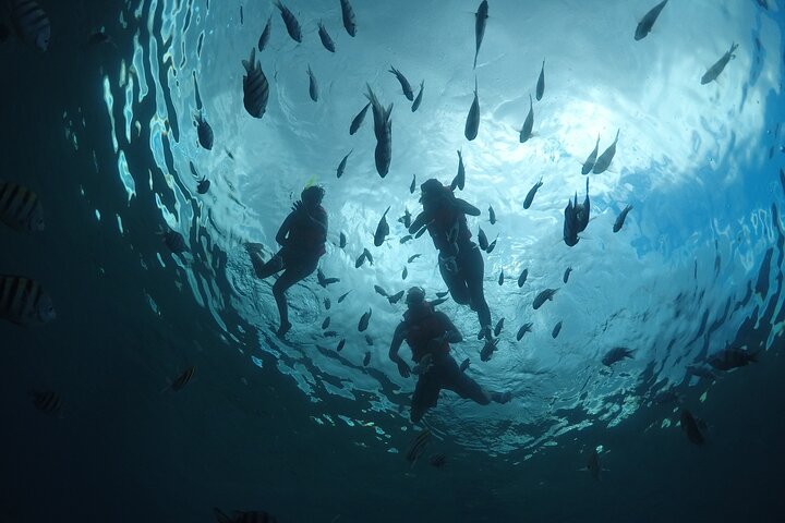 Invisible Boat Snorkeling Adventure in Cozumel - Image 3