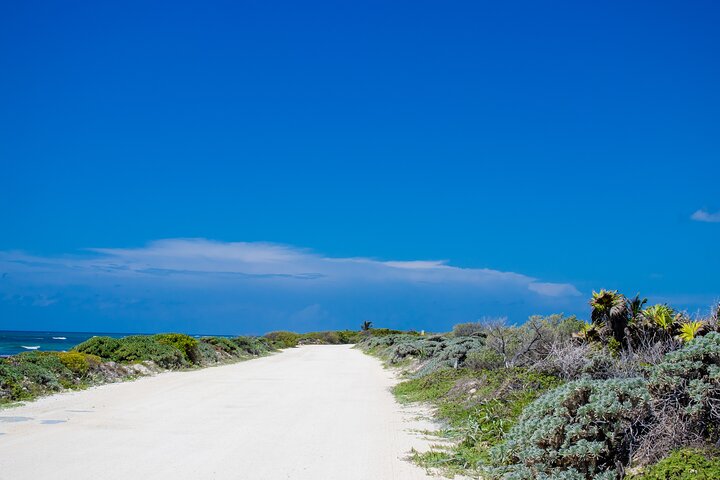 Private Buggy Tour and Punta Sur Park: All-Inclusive - Image 2