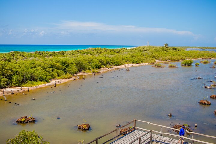 Private Buggy Tour and Punta Sur Park: All-Inclusive - Image 4