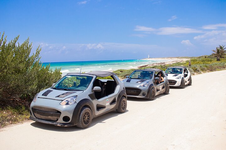 Private Buggy Tour and Punta Sur Park in Cozumel: All-Inclusive - Image 1