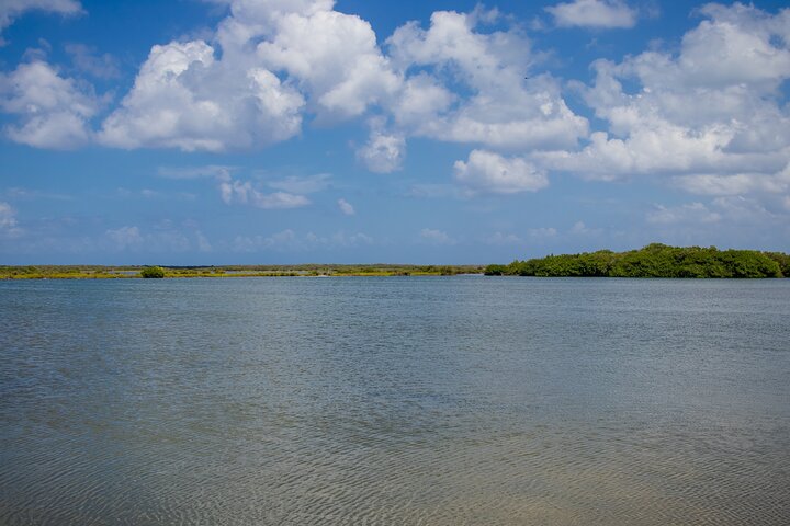 Private Buggy Tour and Punta Sur Park in Cozumel: All-Inclusive - Image 3