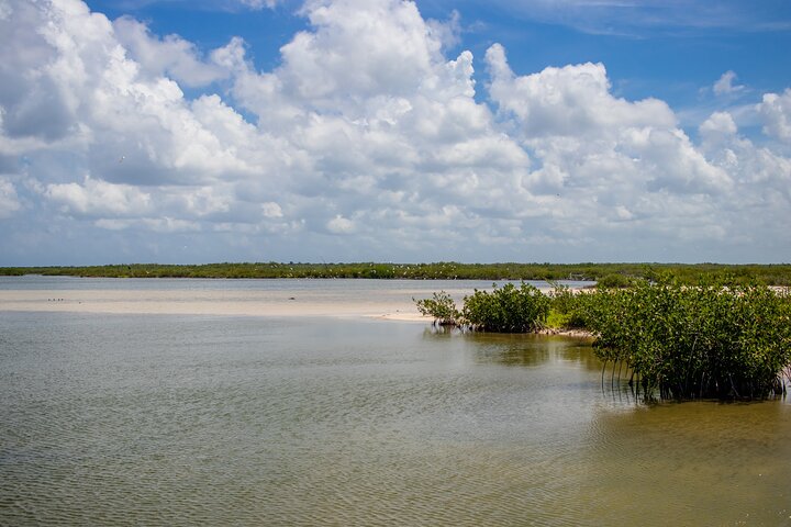 Private Buggy Tour and Punta Sur Park in Cozumel: All-Inclusive - Image 5