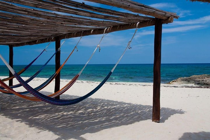 Private cozumel full day adventure - Image 5