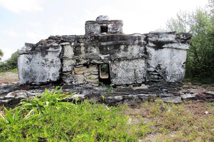 Private cozumel full day adventure - Image 3