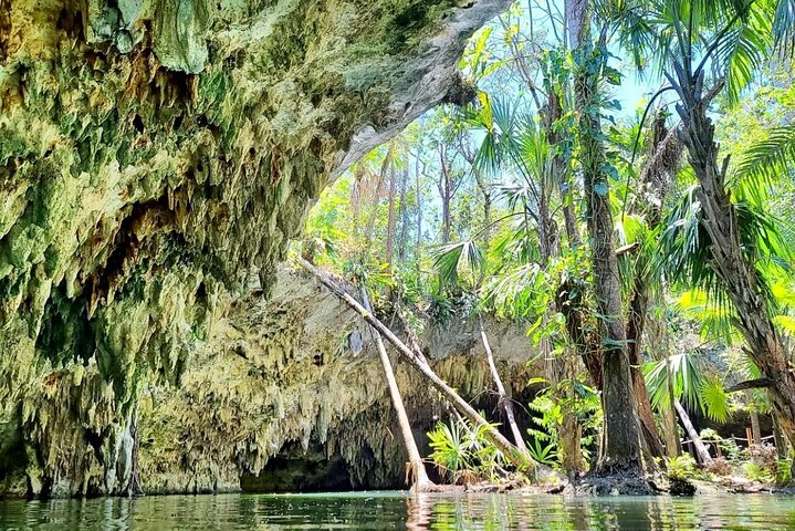  Private Cozumel Jeep Tour & Jade Caverns Cenote: All-Inclusive - Image 2