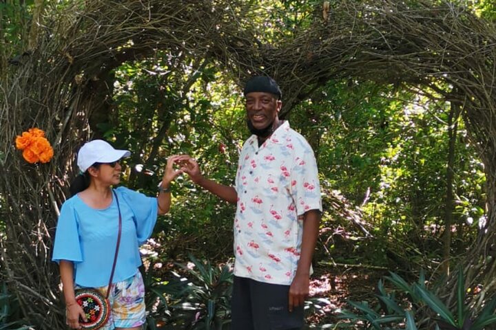 Private Half-Day Guided Cozumel Jeep Tour with Lunch - Image 3