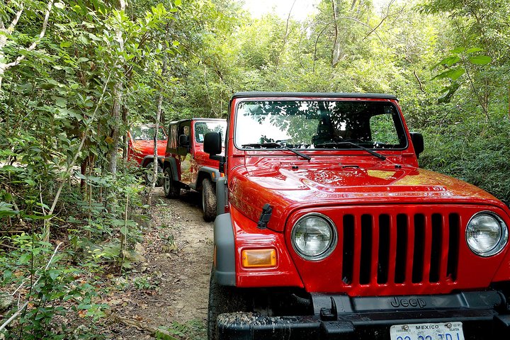 Private Island Jeep & Kayak Adventure in Cozumel - Image 1
