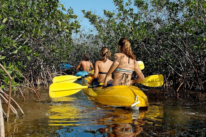 Private Island Jeep & Kayak Adventure in Cozumel - Image 3