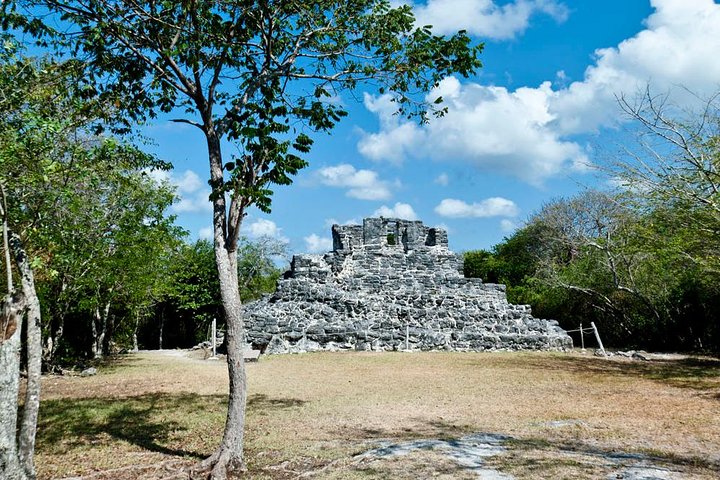 Private Island Tour in Cozumel at Your Leisure - Image 2