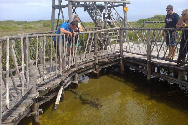 Private Jeep Excursion in Cozumel with Lunch and Snorkeling - Image 2