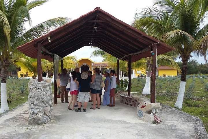 Private Jeep Excursion in Cozumel with Lunch and Snorkeling - Image 4