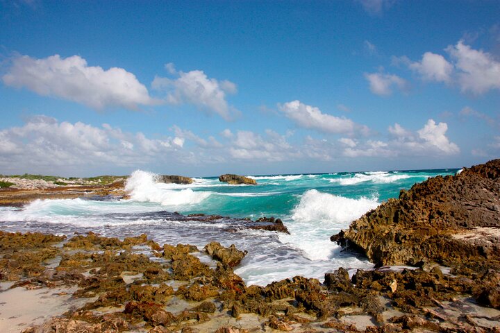 Private Jeep Tour and Punta Sur Park in Cozumel: All-Inclusive - Image 3