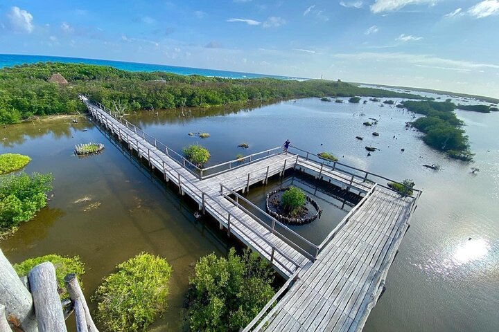 Private Jeep Tour and Punta Sur Park in Cozumel: All-Inclusive - Image 2