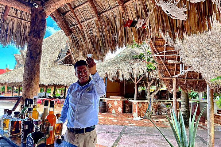 Private Jeep Tour and Punta Sur Park in Cozumel: All-Inclusive - Image 5