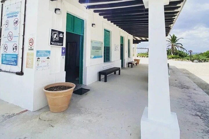 Private Jeep Tour and Punta Sur Park in Cozumel: All-Inclusive - Image 4