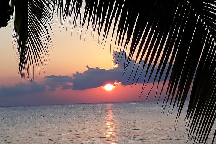 Private Jeep Tour in Cozumel - Image 5