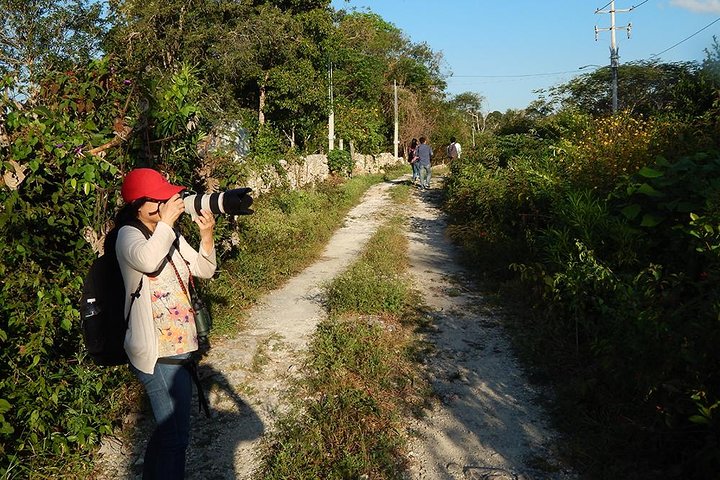 Private Tour: Birdwatching Cozumel Island - Image 5
