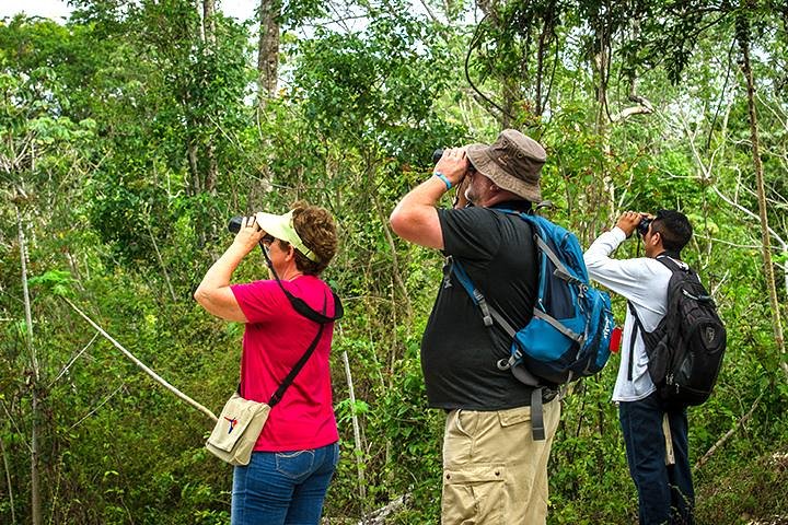 Private Tour: Birdwatching Cozumel Island - Image 2