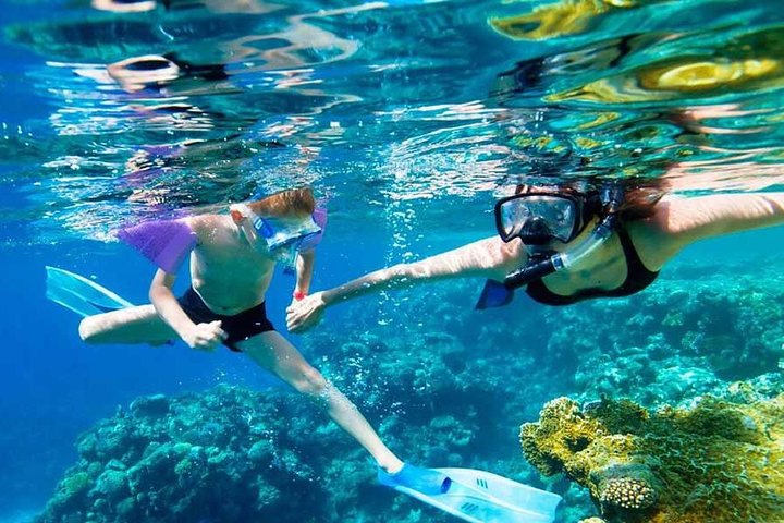 SkyReef Cozumel Snorkel & Tequila Tasting - Image 3