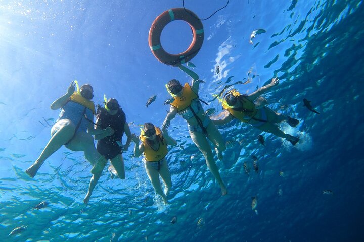 Snorkel along the coast, explore two reefs by Chivis del Mar  - Image 3