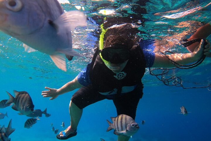 Snorkel along the coast, explore two reefs by Chivis del Mar  - Image 5
