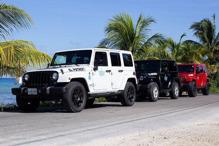 Super Cozumel Combo Snorkel by Boat and Jeep Exploration (Private) - Image 1