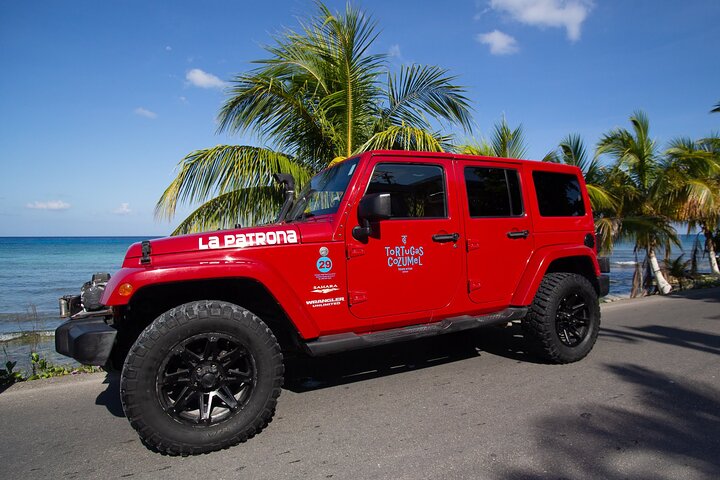 Super Cozumel Combo Snorkel by Boat and Jeep Exploration (Private) - Image 4