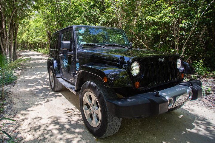 Super Cozumel Combo Snorkel by Boat and Jeep Exploration (Private) - Image 5