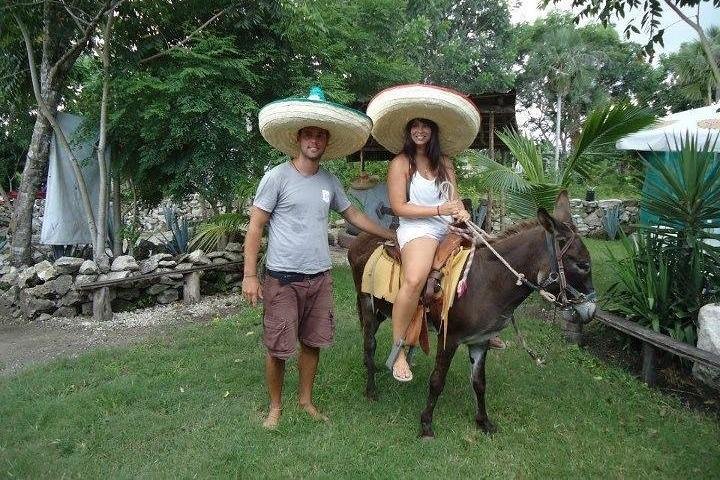 Tequila History Tour and Beach Break  - Image 2