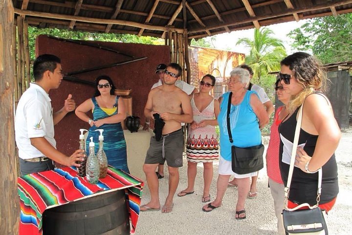 Tequila History Tour and Beach Break  - Image 1
