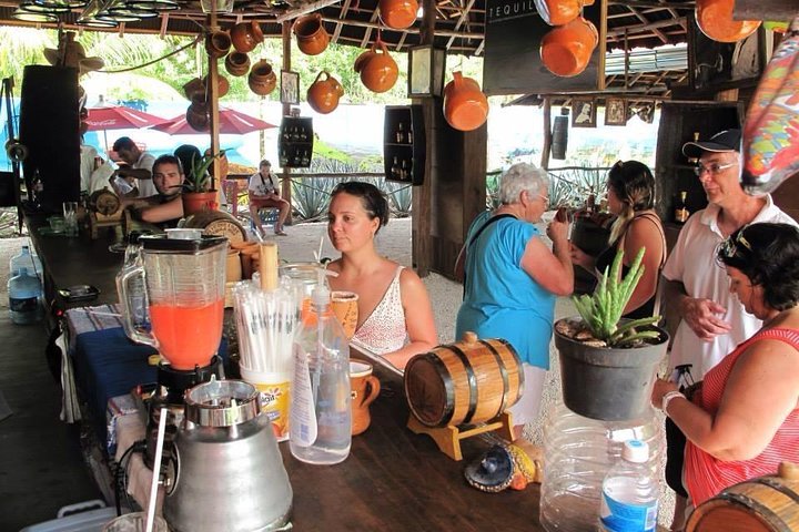 Tequila History Tour and Beach Break  - Image 3