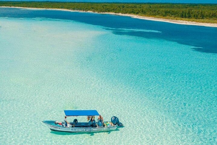 The Best Cozumel Snorkeling Tour Palancar, Colombia and El Cielo Reefs - Image 2