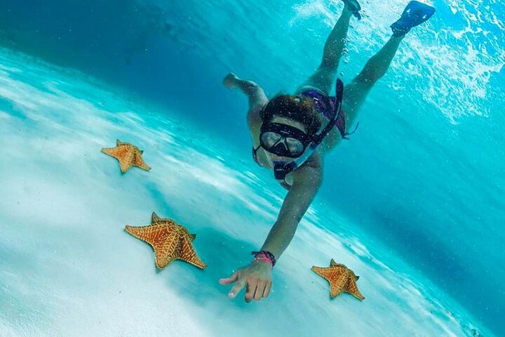 The Best Cozumel Snorkeling Tour Palancar, Colombia and El Cielo Reefs - Image 1