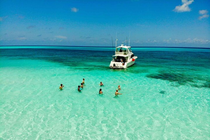 The Best Cozumel Snorkeling Tour Palancar, Colombia and El Cielo Reefs - Image 3