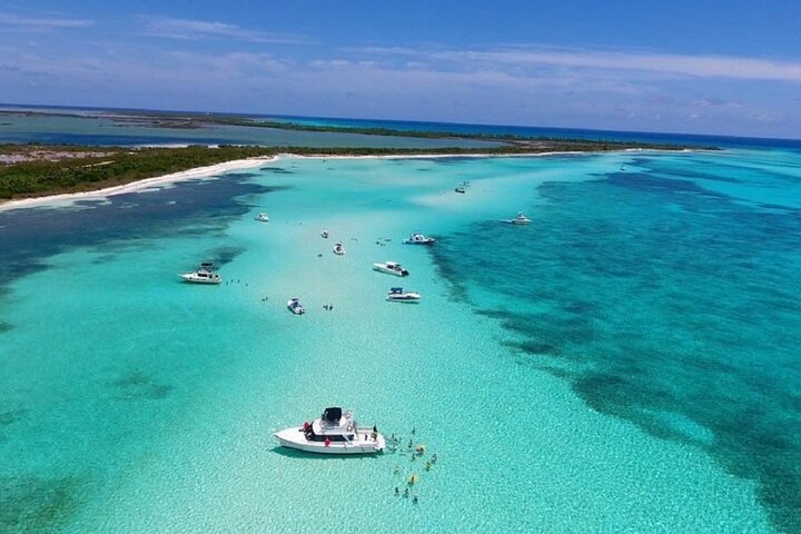 The Best Cozumel Snorkeling Tour Palancar, Colombia and El Cielo Reefs - Image 4